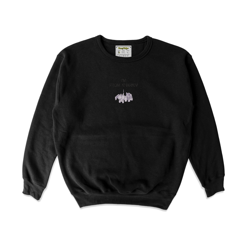 Дитячий світшот з вишивкою 20х20 см - I